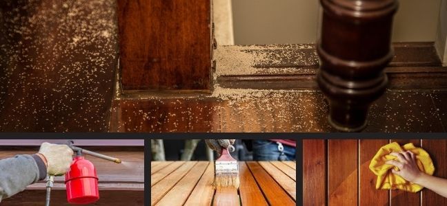 How to Prevent Wooden Furniture from Termites