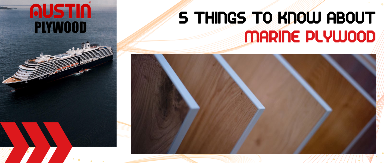 5 Things to Know About Marine Plywood | Austin's BWP Plywood